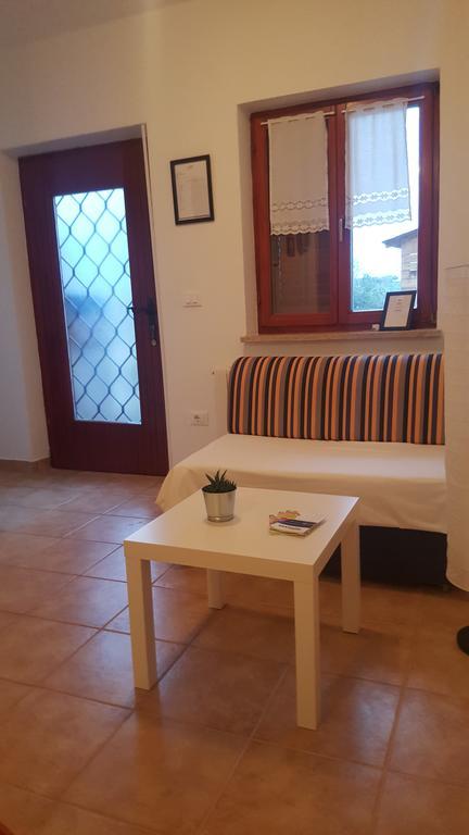 Apartments Sorgo Novigrad  Luaran gambar